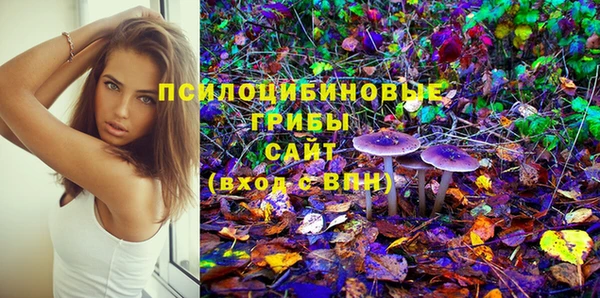 молекула духа Михайлов