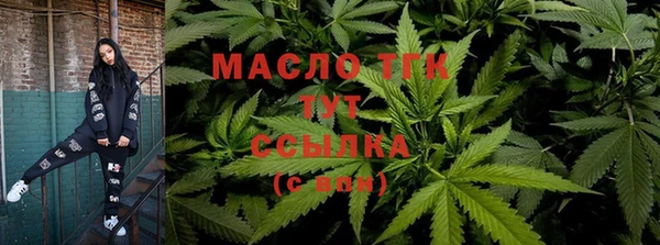молекула духа Михайлов